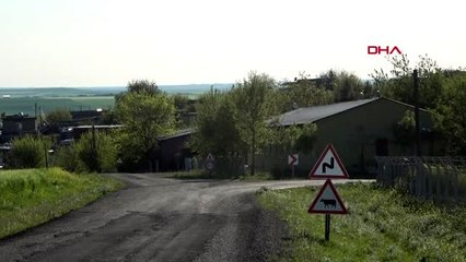 Diyarbakır'da aileler arasında silahlı kavga: 1 ölü, 4 yaralı