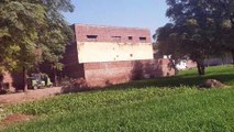 Mehmoodabad   sabzi mandi jhelum pakistan