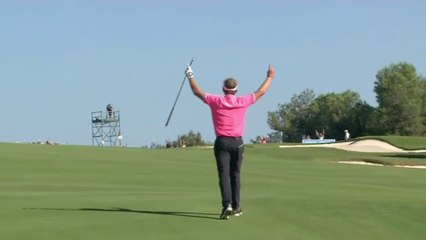 L'incroyable Albatros de Joost Luiten