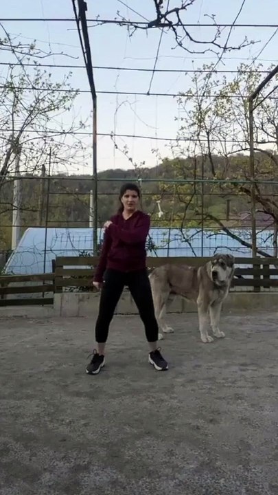 Dog Doesn't Like Being Ignored