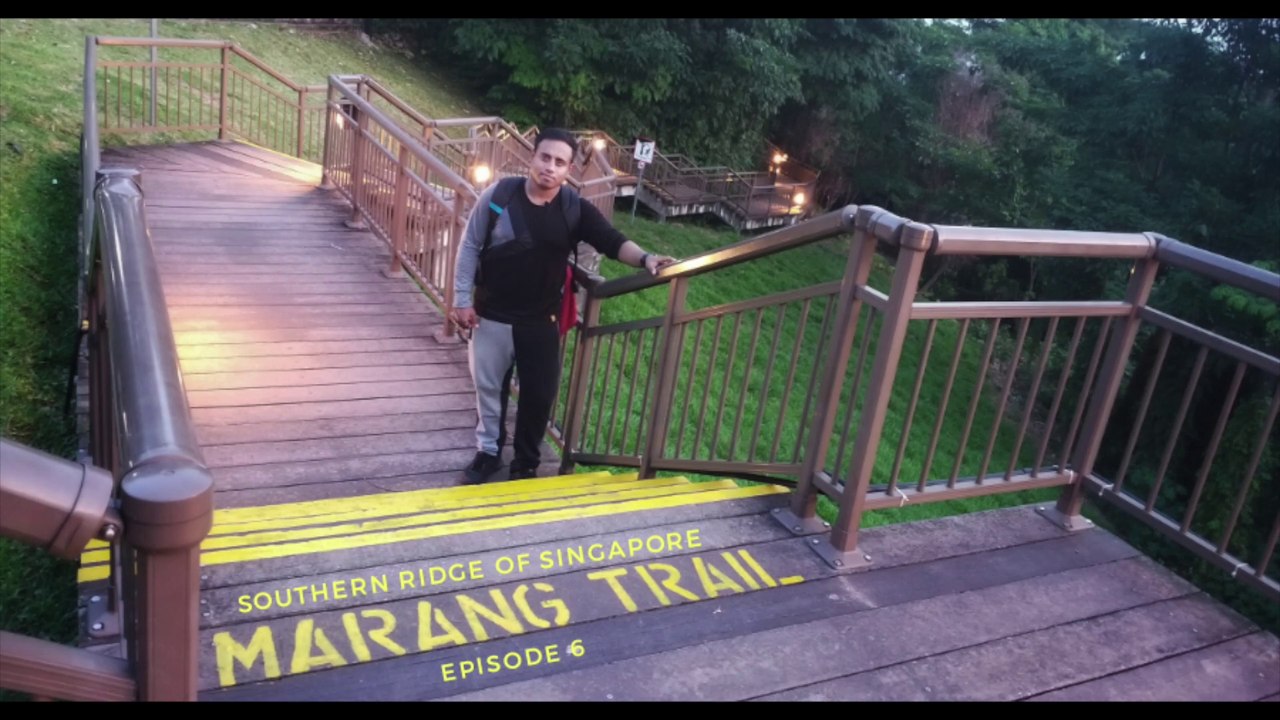 SINGAPORE SOUTHERN RIDGES - MARANG TRAIL | HOW TO TRAVEL BY MRT | EXPLORING SINGAPORE IN JUST Rs.40