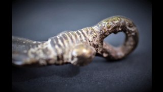 Pendentif Serpent Bronze Gan, Burkina Faso
