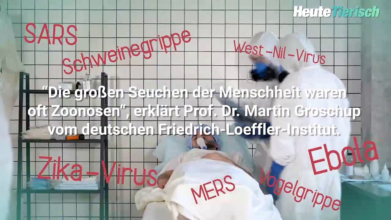 So springen tödliche Viren von Tieren auf Menschen
