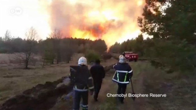 Чернобыль в огне: что сгорело в зоне отчуждения и спаслись ли животные? (24.04.2020)