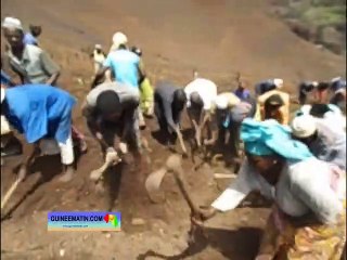 Dans notre champs avec Koto Alseny Linguéwy, Koto Fodé dit Zaïrois, Kaou Lamarana...