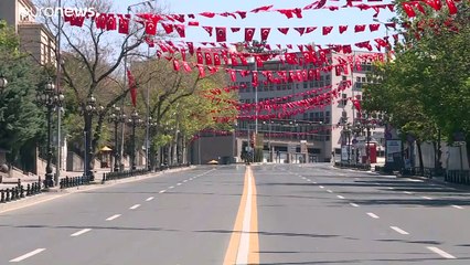 Wegen Corona-Auflagen: Wieder mehr Delfine vor Istanbul