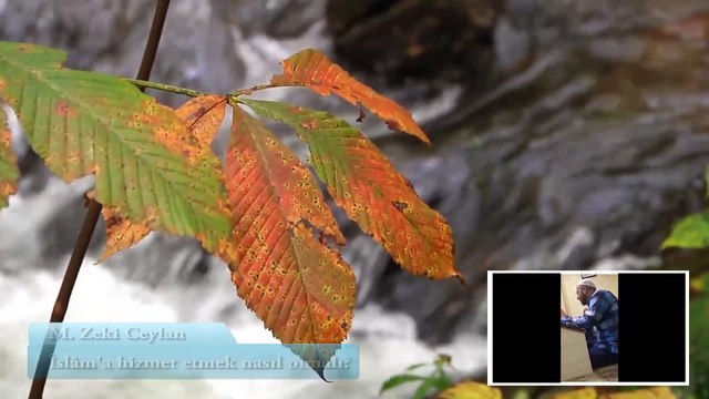 Allah cc Yolunda Hizmet - M. Zeki Ceylan