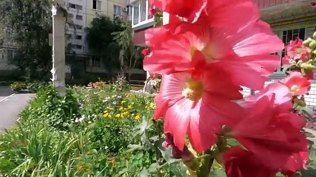 Sahri Ke Baad Ka Wazifa - Sahri Ka Wazifa - Ramzan Wazifa - Wazifa