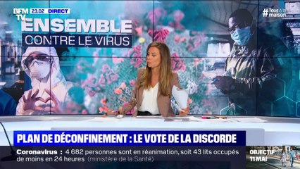 Plan de déconfinement: le vote de la discorde (2/2) - 26/04