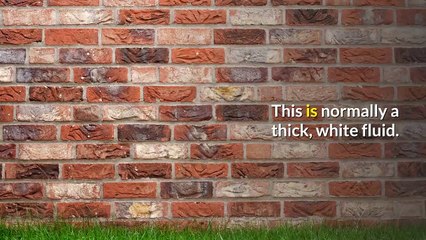 tips-and-treatments-for-sebaceous-cysts-causing-hair-loss