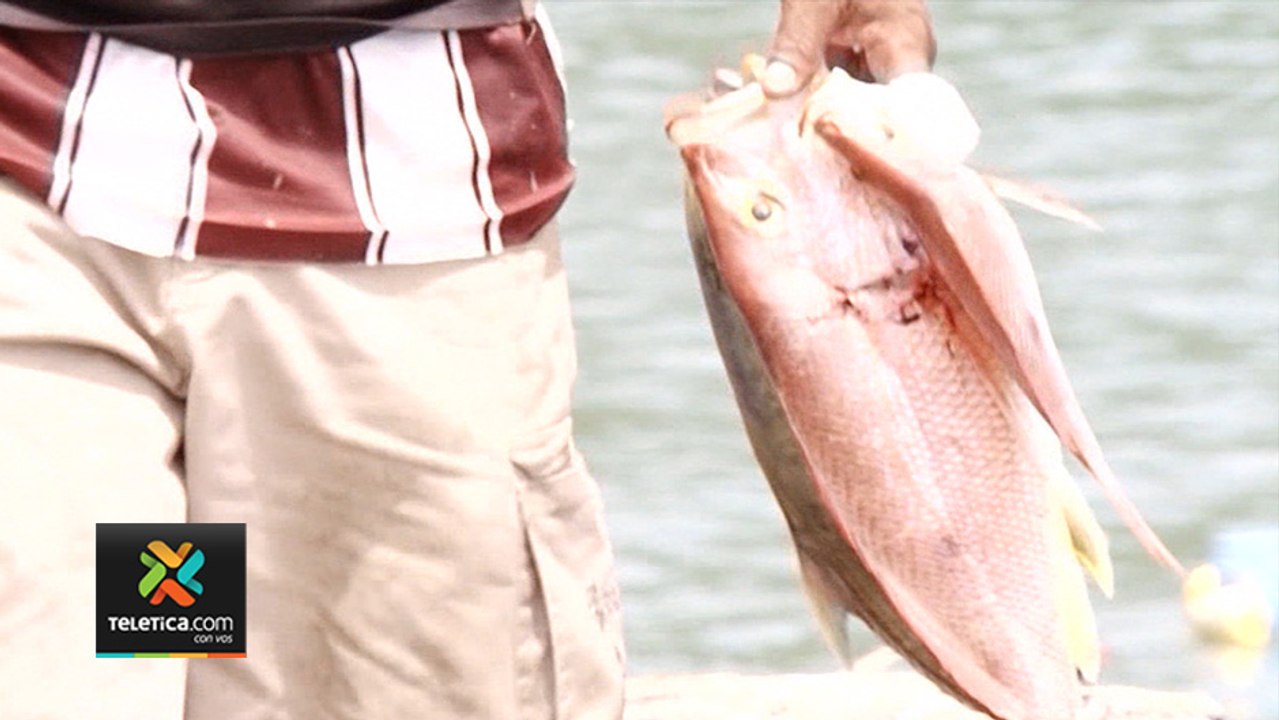 tn7-ayuda-a-pescadores-turisticos-y-artesanales-260420