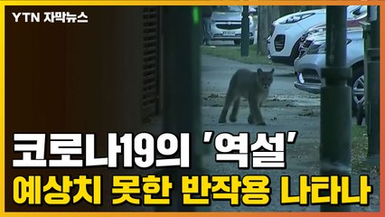 [자막뉴스] 코로나19의 '역설'...예상치 못한 반작용 나타나 / YTN