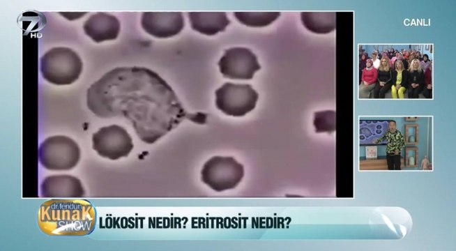 Lökosit nedir? Ne işe yarar?