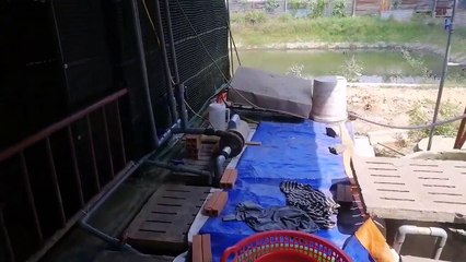 Đi Xem Hệ Thống Phun Sương Bằng Nhựa Giá Rẻ Cho Trại Nấm Bào Ngư 0946879239