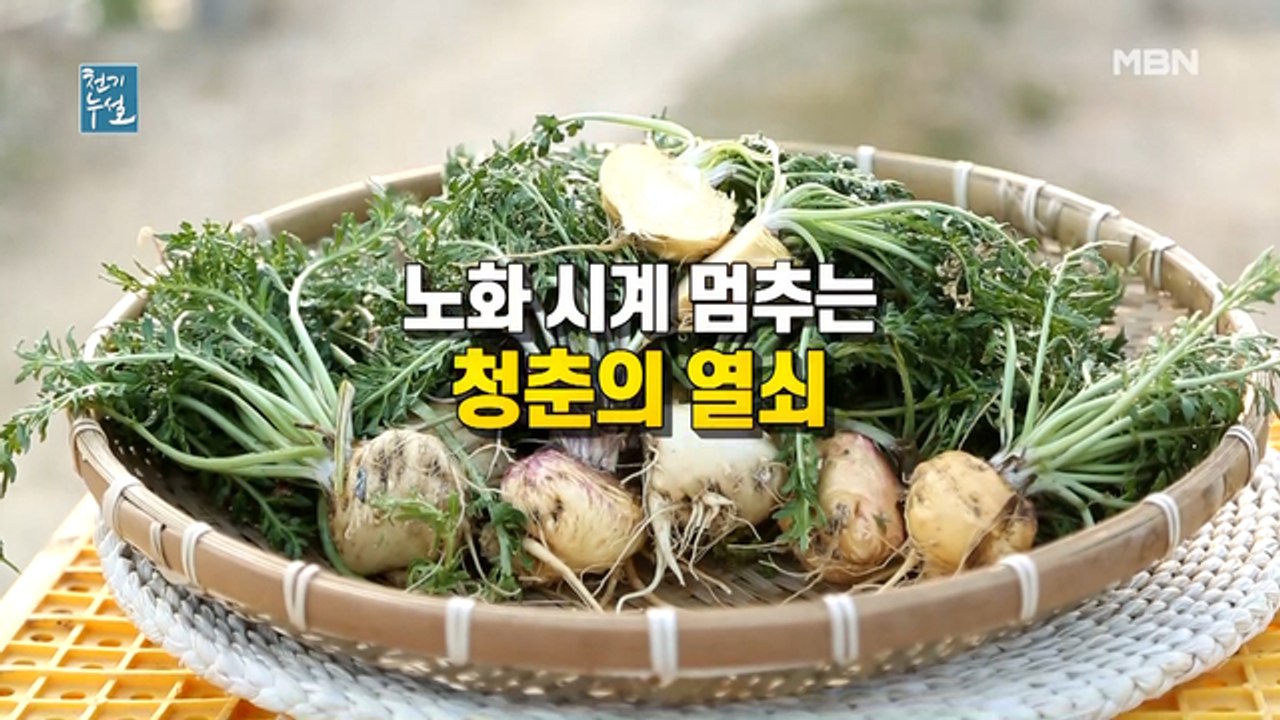 노화 시계 멈추는 청춘의 열쇠!