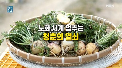 노화 시계 멈추는 청춘의 열쇠!