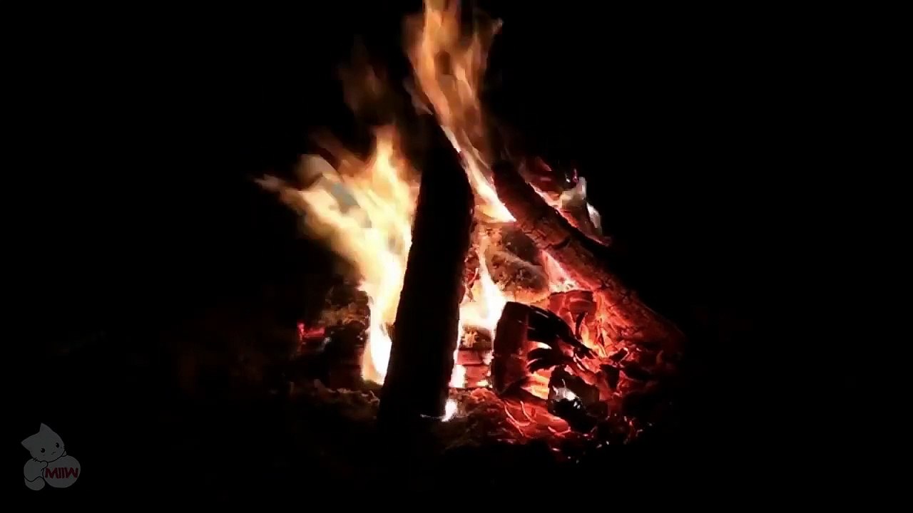 Hoguera para la television. Hoguera en el campo