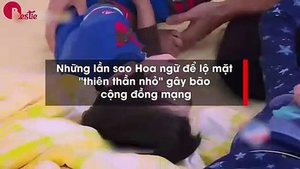 gây bão cộng đồng mạng