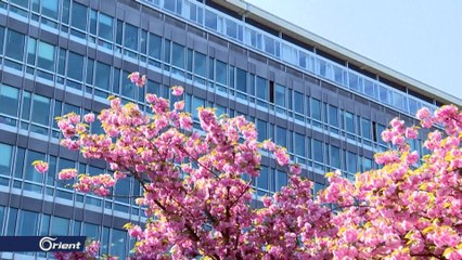 الصحة العالمية تنحاز لبكين بشأن مصدر كورونا , والصين تصف بومبيو بـ "الشرير"