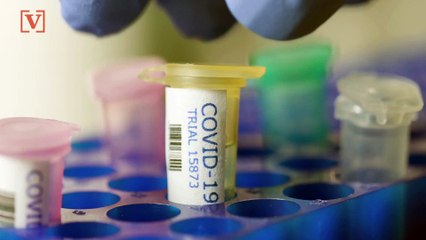 New Coronavirus Model Used by the White House Projects 134,000 Deaths, Double the Count From April