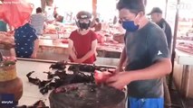 Bats, rats and dogs on sale at Indonesian wet market despite fears they caused coronavirus