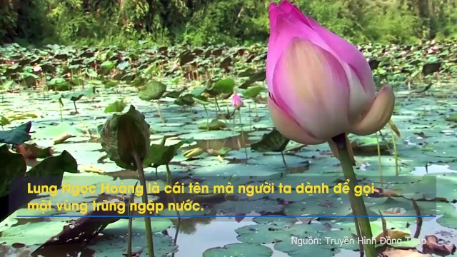 Đổi gió về miền Tây, đắm chìm trong vẻ đẹp mộc mạc của vùng đất Hậu Giang