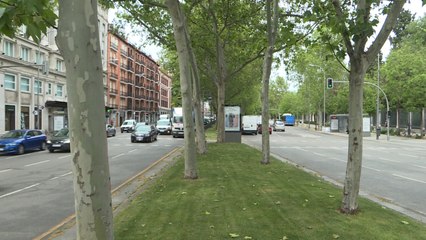 El Paseo del Prado se peatonalizará de forma provisional