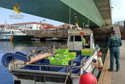 Guardia Civil entrega pescado intervenido al banco de alimentos de Cantabria