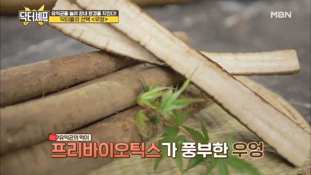 장내 유익균 UP! 장 건강 지키는 식재료의 정체는?