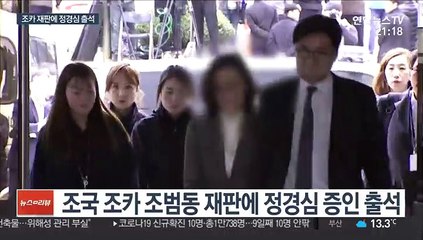 정경심 "'강남건물' 언론 플레이에 상처…남편 정직한 사람"