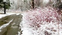 Snow creates a winter wonderland in Vermont