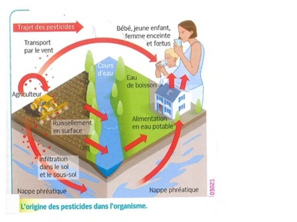capsule qualité de l'eau