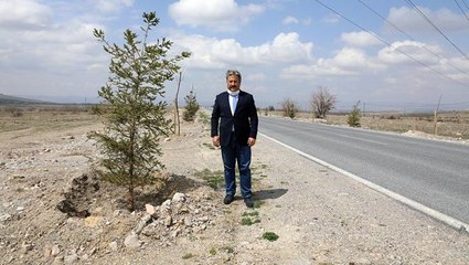 (27 Nisan 2020) GÜZELKÖY VE GÜRPINAR YOLU YENİ AĞAÇLARLA ŞENLENECEK