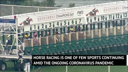 Southern Legend edges out Beauty Generation in Champions Mile thriller