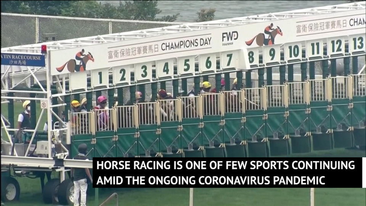 Southern Legend edges out Beauty Generation in Champions Mile thriller