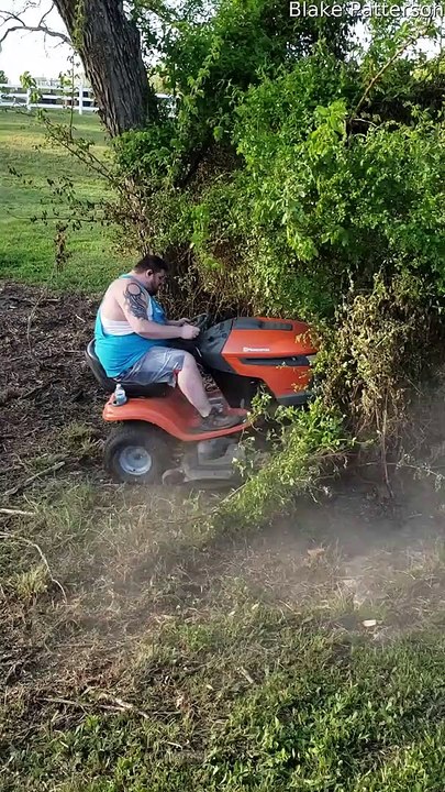 Mowing Down a Tree With a Lawnmower