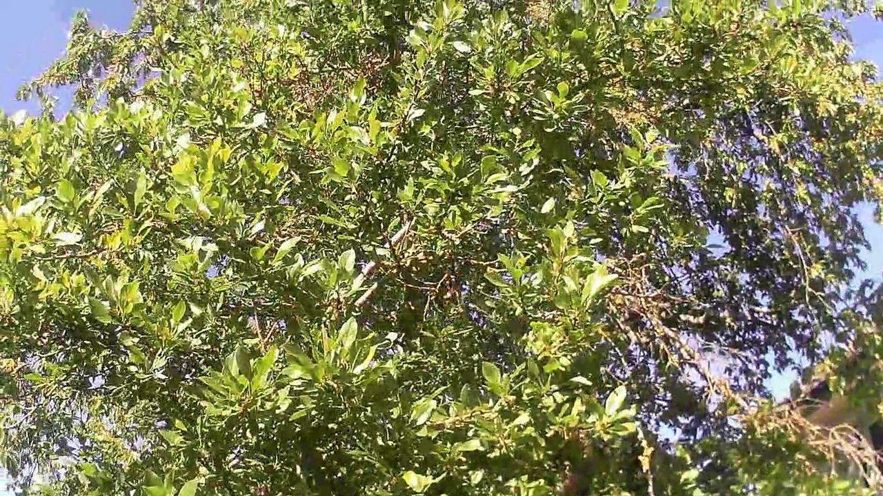 Cycles de Vie au jardin avec le Petit Vélo Jaune