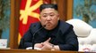 North Korean leader Kim Jong-un is ‘alive and well’, South Korea security adviser says