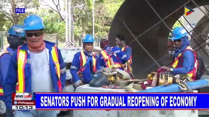 Senators push for gradual reopening of economy