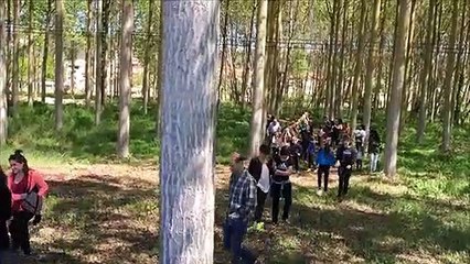 La tradicional fiesta de la subida del "mayo" en Murieta 2019