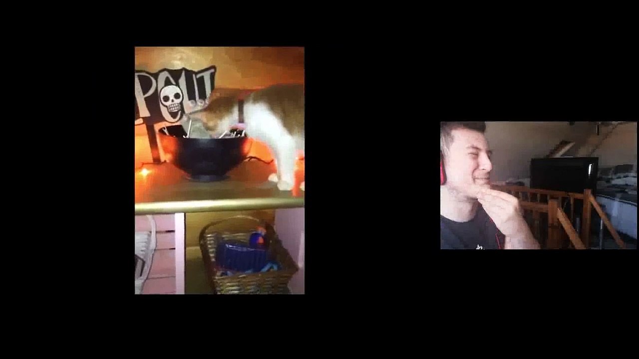 Hopey!Reacts No.2 (Memes and TikToks)