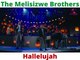 Leonard Cohen - Hallelujah (The Melisizwe Brothers Cover)