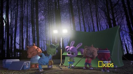 Los Polos - El Canto Nocturno Español Latino