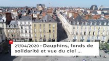 Dauphins, fonds de solidarité et vue du ciel … Cinq infos bretonnes du 27 avril