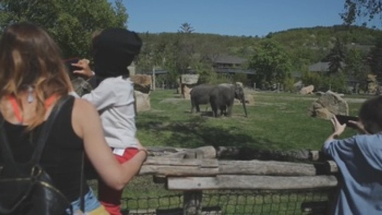 Zoo de Praga reabre con nuevas especies exóticas nacidas en la cuarentena