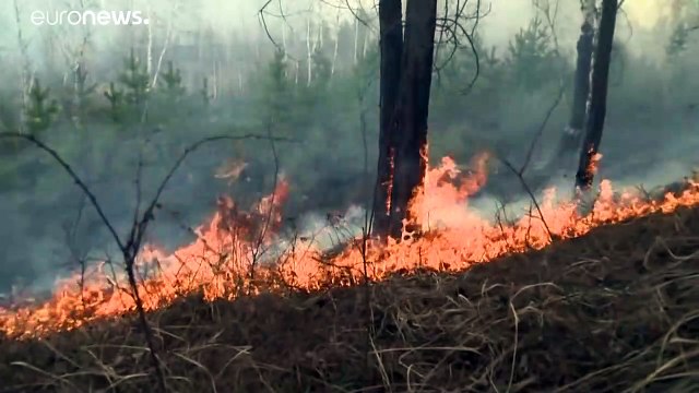 В Сибири полыхают лесные пожары