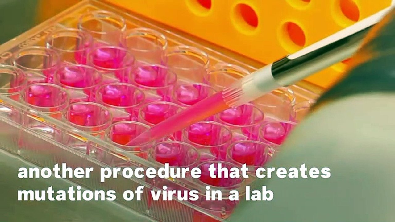 Why The Wuhan Lab Remains A Suspect In the Coronavirus Investigation