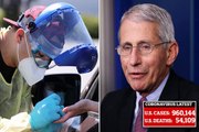Dr. Fauci says testing needs to be doubled before the US reopens - Business Insider