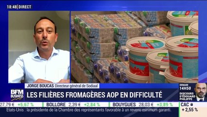 Édition spéciale : Les filières fromagères AOP en difficulté - 27/04