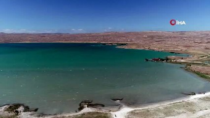 Onlar göçüyor, Sivaslı fotoğrafçı onları deklanşörle avlıyor